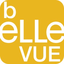 Jugendstätte Bellevue Logo
