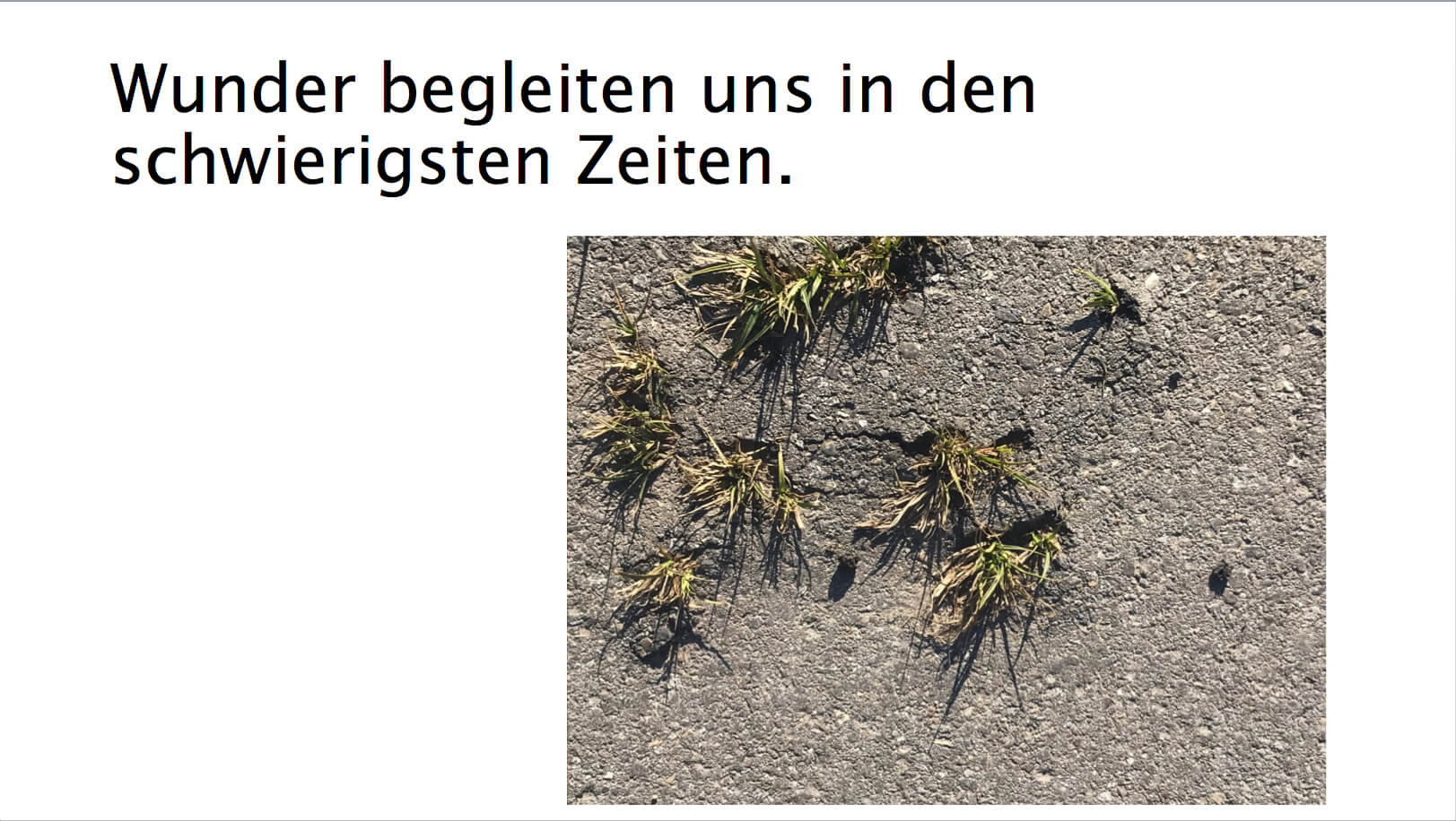 belle_tarja_karte_1