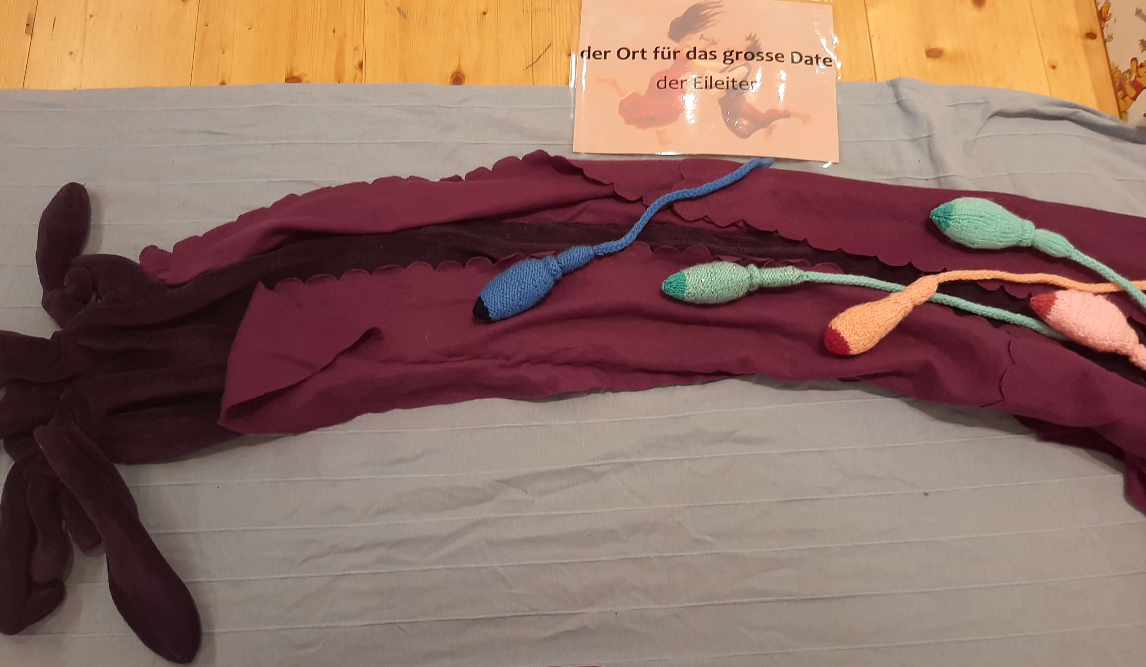 3 Spermien