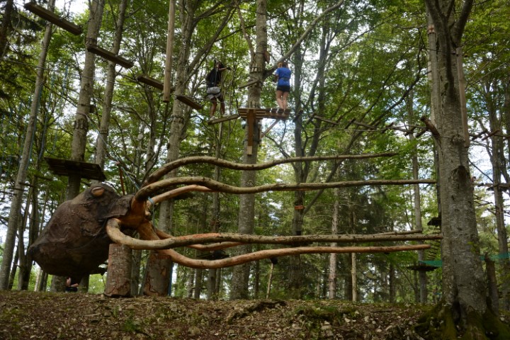 Foto 12
